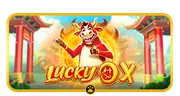 Image of Lucky Ox